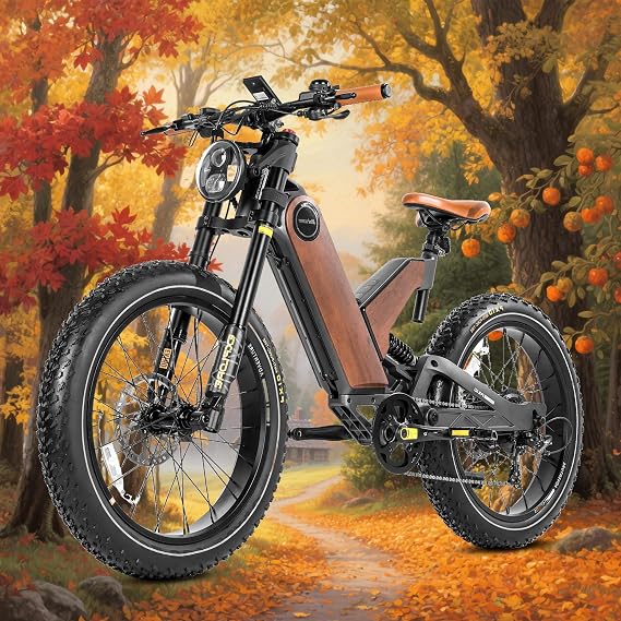 eAhora P5 II 34 Mph Electirc Bike for Adults, 48V 20Ah Samsung Battery 80 Miles Long Range E Bike, Peak 1700W Motor Ebike, 24 * 4.0 Fat Tire Full Suspension Electirc Mountain Bike,Shimano 7-Speed